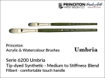 Pędzel do farb olejnych i akrylowych płaski filbert Princeton Umbria 6200 Tip-dyed Synthetic Filbert, rozmiar  8
