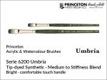 Pędzel do farb olejnych i akrylowych płaski Princeton Umbria 6200 Tip-dyed Synthetic Bright, rozmiar  2