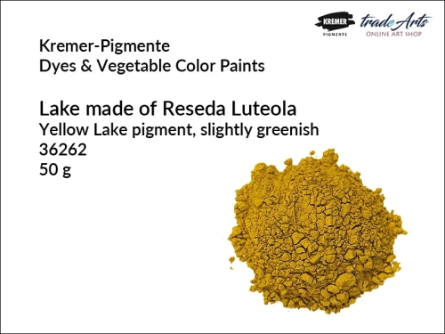 Kremer-Pigmente barwnik z rezedy żółtawej jasnozielony, barwnik z rezedy żółtawej odcień jasnozielony Kremer-Pigmente,  luteolina, reseda luteola, barwnik z rezedy Reseda Luteola,  ekstrakt, Reseda Luteola, rezeda,