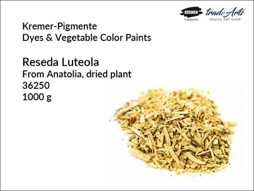 Reseda Luteola from Anatolia Kremer-Pigmente, rezeda żółtawa w kawałkach Kremer-Pigmente, Kremer-Pigmente rezeda żółtawa w kawałkach, luteina, barwnik roślinny, pigmenty roślinne, Kremer-Pigmente,