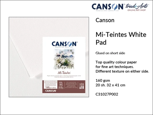 Canson Mi-Teintes 160 gsm Glued White Pad 32x41 cm, blok klejony  biały do pasteli i rysunku Mi-Teintes 32x41 cm, Mi-Teintes blok klejony biały do rysunku i szkicu, bloki kolorowe Mi-Teintes, pastele suche, szkicowanie, rysunek, Canson Mi-Teintes,
