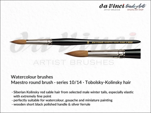 da Vinci Watercolour Maestro round 10-14_wynik.webp